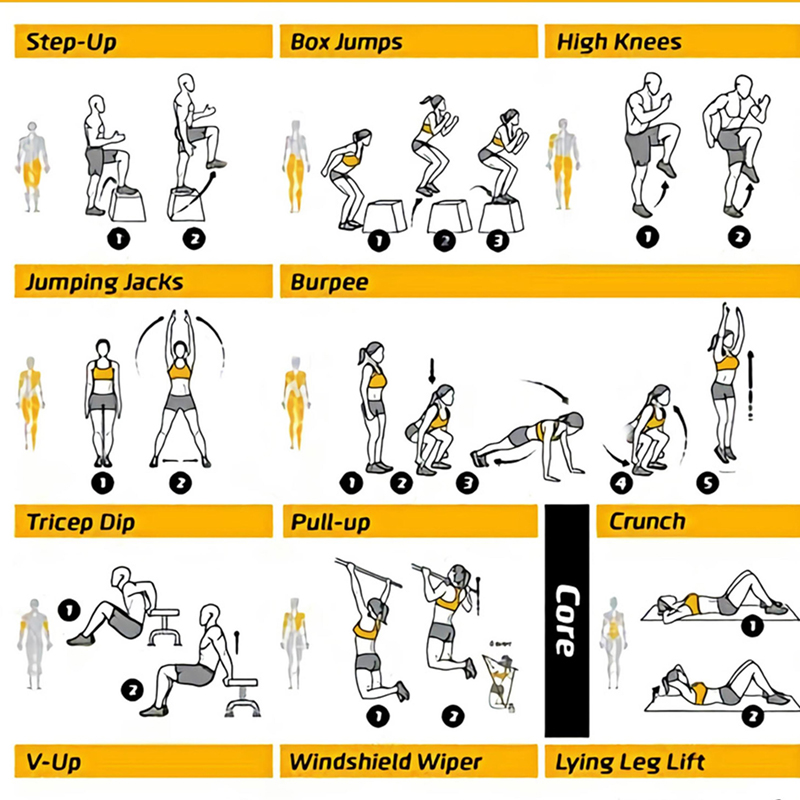 ملصقات مخطط تمارين رياضية، طبا - مراجعة Sports Equipment Poster وسعره
